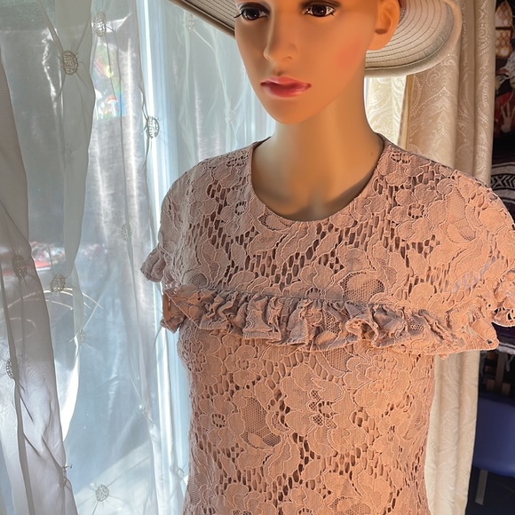 Burberry Heather Pink Embroidered Lace Overlay Dress US size 2 - Picture 6 of 11